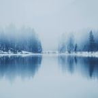 blocks-image-26 (Demo)